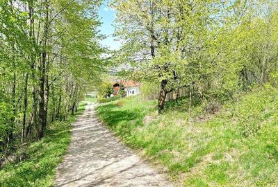 Teren intravilan Bran- Predelut - 6