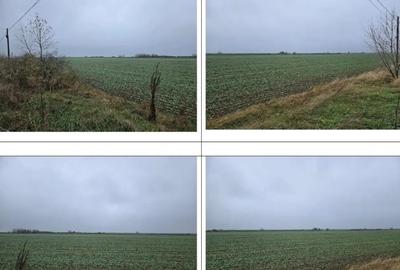 Teren de 4000 mp, în Budești - 3