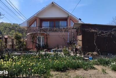 Casă cu 4 camere cu Teren 368 Mp în Coman