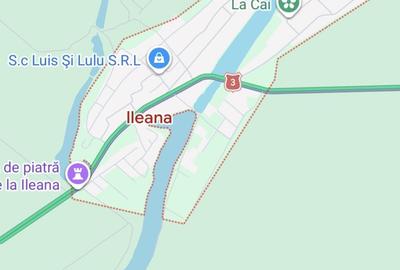 Teren agricol extravilan de 5 mp, în Ileana - 2