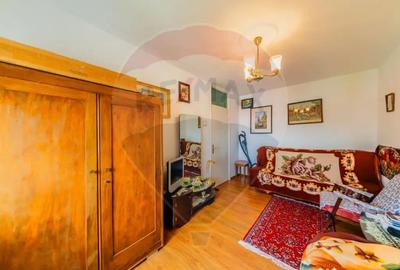 Apartament cu 2 camere semidecomandat în Boul Roșu - 8