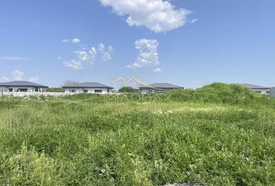 Teren Intravilan_500 mp***Cartier exclusivist//Tamasi/Corbeanca - 1