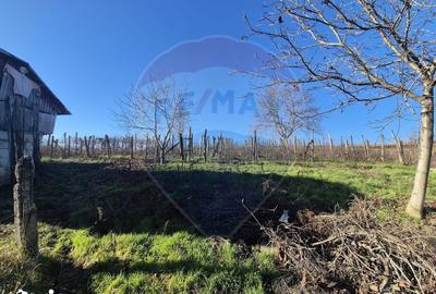 Casă cu 4 camere cu Teren 4700 Mp în Parincea - 1