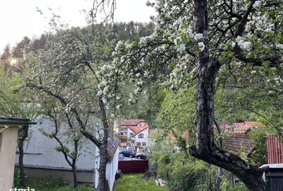 Teren de 707 mp, în Schei - 5