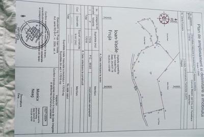 Teren de 100000 mp, în Blăjeni - 1