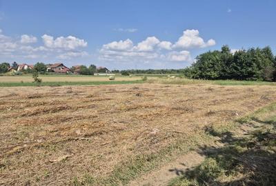 Teren de 1350 mp, în Stupini