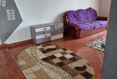 Apartament central de inchiriat in One?ti - 7