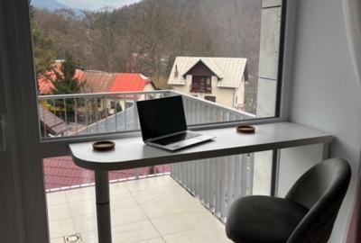 Studio Sinaia cu vedere spre munte - 9