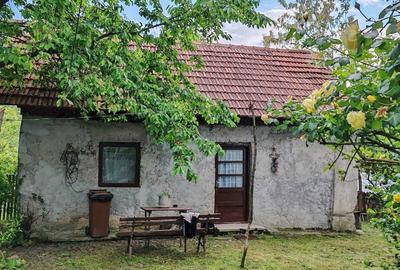 Casă cu 3 camere în Telega - 1