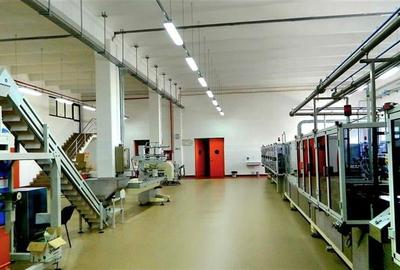 Hala industriala, 1600 mp cu teren 6500 mp , Timisoara Nord Vest - 5