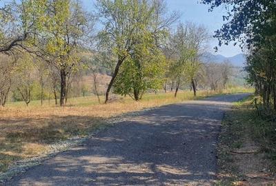 Teren de 4780 mp, în Fornădia - 5