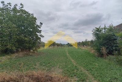 Casă individuală cu 5 camere cu Canalizare în Sud-Vest - 5