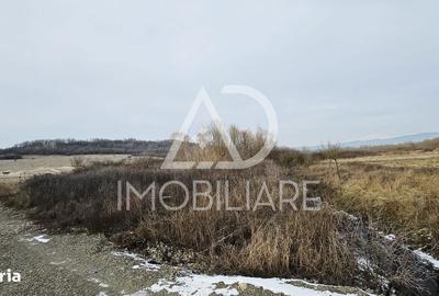 Teren de 1275 mp, în Turcinești - 3