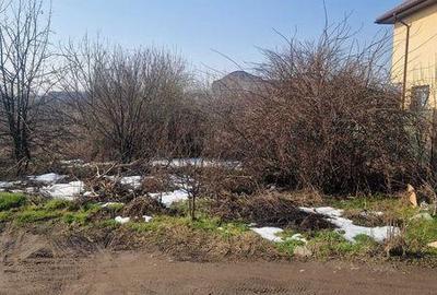 Teren de 409 mp, în Jilava - 4