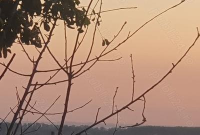 Teren de 1000 mp, în Somova - 3