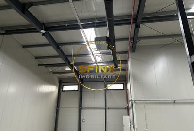 Spațiu industrial, de 600 mp, în Buftea - 2