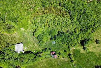 Casă cu 3 camere cu Teren 1614 Mp în Sita Buzăului - 12