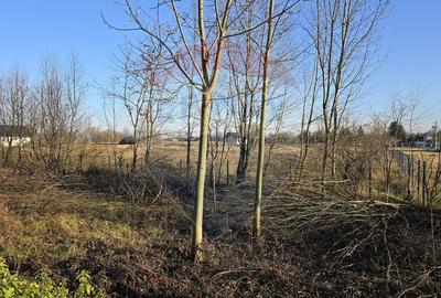 Teren  de vanzare in Fratautii Noi / Strada Dealului - 12