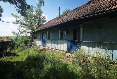 Teren de 37500 mp, în Barbura - 9