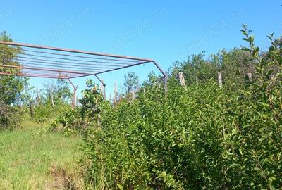 Casă cu 2 camere în Băimac - 5