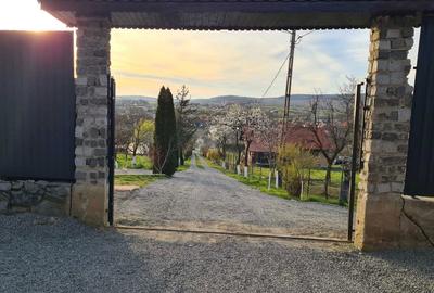 Casă cu 4 camere cu Teren 700 Mp în Crasna - 3