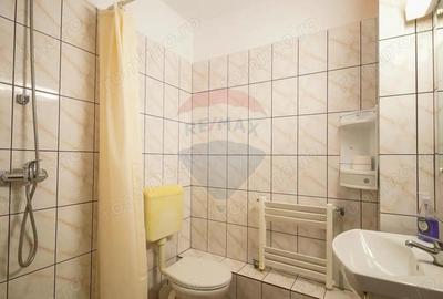 Comision 0 %! Pensiune cu 12 camere de vanzare, str. De Mijloc! - 3