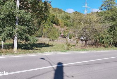 Teren de 1075 mp, în Malaia - 6