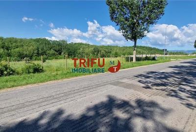 Teren de 772 mp, în Ciugud - 8