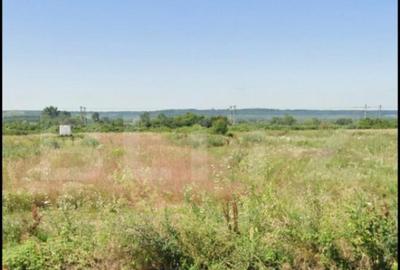 Teren extravilan cu o suprafata de 2373 mp in Racarii de sus - 3