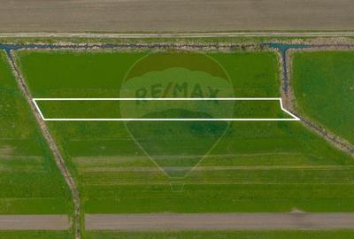 Teren agricol extravilan de 4000 mp, în Stupinii Prejmerului - 2