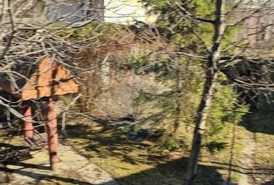 Casă individuală cu 7 camere cu Teren 1134 Mp în Tarcău - 51