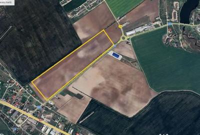 Teren de 117039 mp, în Buftea - 1