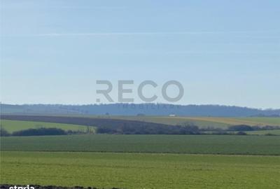 Spațiu comercial, în Tăut - 3