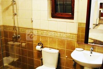 Proprietate unica, independenta energetic, zona Bucium Proprietate unica, independenta energetic, zona Bucium - 28