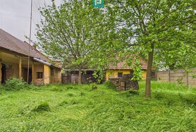 Casă cu 3 camere cu Teren 1547 Mp în Variaș - 5