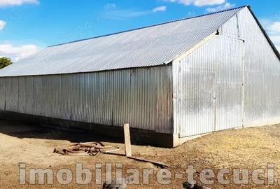 Vand casa cu 5 camere 4500 mp teren, iaz cu populat cu pe?te in Tecuci Vand casa cu 5 camere 4500 mp teren, iaz cu populat cu pe?te in Tecuci - 6