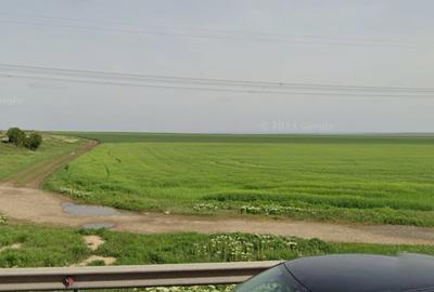 Teren agricol extravilan de 88000 mp, în Mihai Viteazu - 2