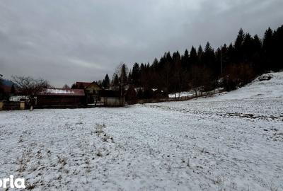 Teren de 2869 mp, în Fundu Moldovei - 2