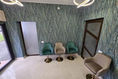 Spațiu comercial, de 60 mp, în Lăpuș - 8