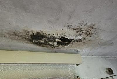 Casă cu 2 camere în Central - 10