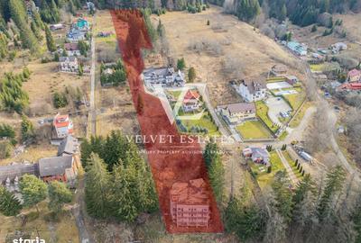 Spațiu comercial, de 814 mp, în Piața - 5