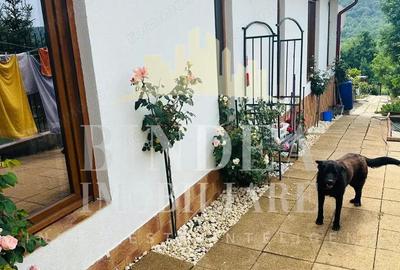 Casa de vis, constructie 2023 Charlottenburg- COMISION 0 - 17