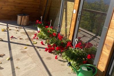 Izvoarele, Valeni de Munte, Prahova - 9