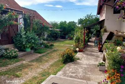 Casă cu 6 camere cu Teren 2027 Mp în Miniș - 10
