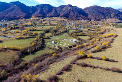 Teren Construcții intravilan de 2500 mp, în Tohănița - 1