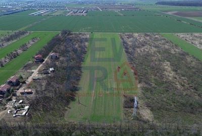 Teren de vanzare, Sabareni - 6