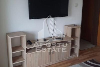 Apartament cu o camera, ideal pentru investitie, zona Lipovei - 2