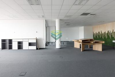 Birou, de 311 mp, în Băneasa - 3