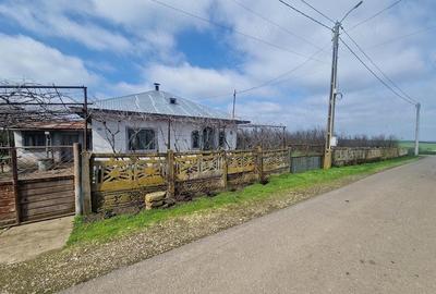 Casă cu 4 camere cu Teren 2170 Mp în Nucetu - 7