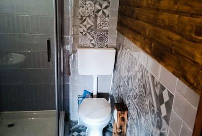 Casă cu 2 camere în Arieșeni - 4